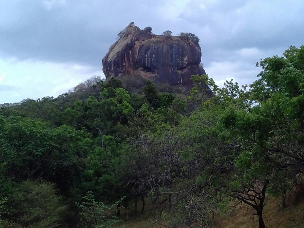 Liyara Home Stay Sigiriya Ngoại thất bức ảnh