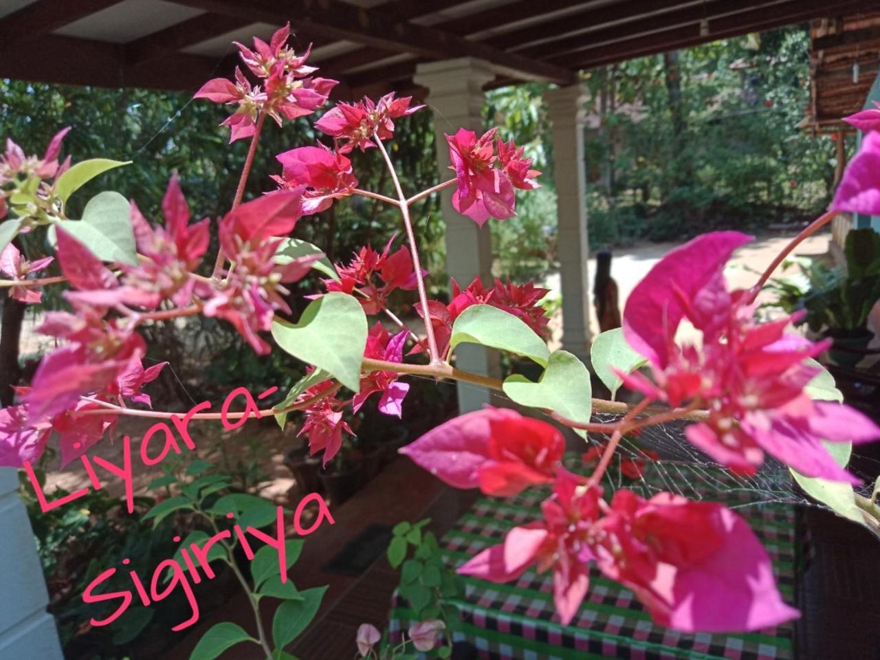 Liyara Home Stay Sigiriya Ngoại thất bức ảnh