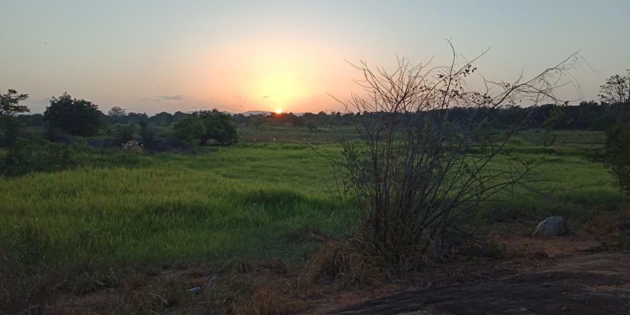 Liyara Home Stay Sigiriya Ngoại thất bức ảnh